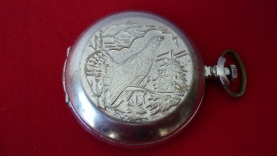 CEAS DE BUZUNAR MOLNIA COCOS DE MUNTE foto