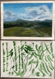Lot doua lucrări Ana Teodorescu, tehnică mixtă pe carton subțire, 25 x 17 cm fiecare / arta romaneasca / semnatura / foarte decorative, Natura, Pastel, Abstract