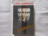 LOYD AUERBACH - REINCARNAREA