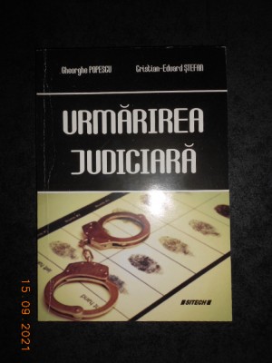 GHEORGHE POPESCU - URMARIREA JUDICIARA foto