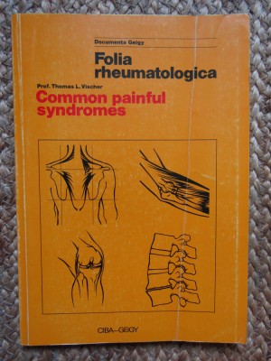 Common painful syndromes - Prof. Thomas L. Vischer foto