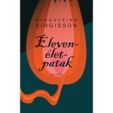 Eleven&eacute;let-patak - Bergsveinn Birgisson