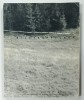 BILDERSPRECHEN No. 6 , 2003