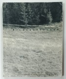 BILDERSPRECHEN No. 6 , 2003