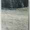 BILDERSPRECHEN No. 6 , 2003