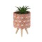 Ghiveci decorativ cu planta artificiala, Verde, 14 cm, ATU-085512