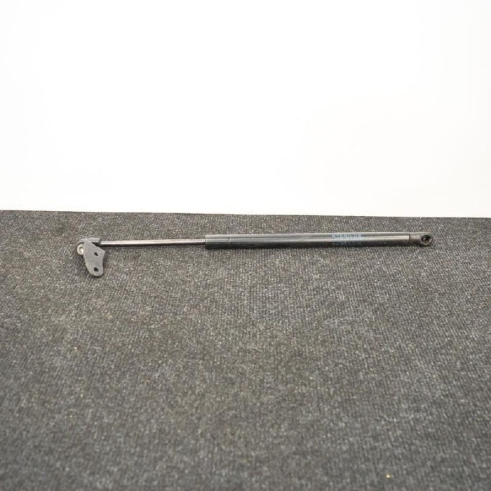 Amortizor capota st&acirc;nga față TESLA MODEL S 2015 OEM: 1955050460N 3608556