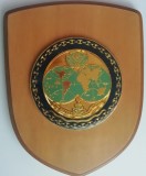 D15 11 - Placheta - tematica militara - armata Italiei, Europa