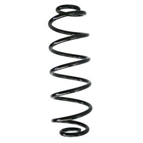 MTR 12108724 Arc spiral foto