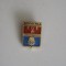 QW9 L 95 - insigna - tematica orase - Volvograd - Fosta URSS