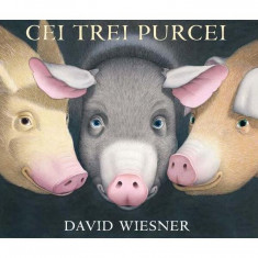 Cei trei purcei - Hardcover - David Wiesner - Vlad și Cartea cu Genius