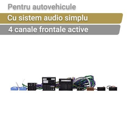 Cablu activ ZDT-BMW1 Phoenix Gold pentru BMW cu sistem de sunet de baza cu un quadlock CarStore Technology