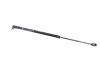 Amortizor haion dreapta VW ID.3 E11 2021 OEM: 10A827550D | 20509213