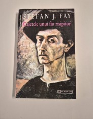 Stefan J Fay Jurnal / Caietele unui fiu risipitor