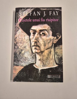 Stefan J Fay Jurnal / Caietele unui fiu risipitor foto