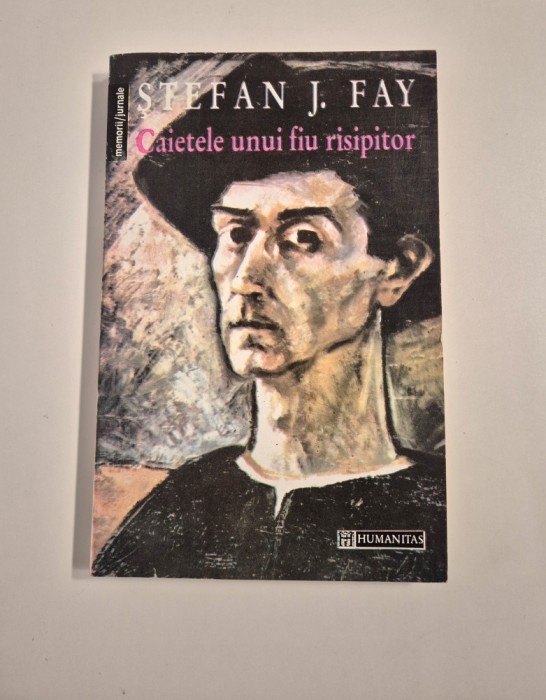 Stefan J Fay Jurnal / Caietele unui fiu risipitor