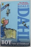 BOY - TALES OF CHILDHOOD by ROALD DAHL , illustrated by QUENTIN BLAKE , 2013