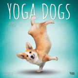 Yoga Dogs 2024 Square