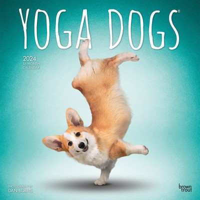 Yoga Dogs 2024 Square foto