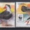 Guinea - Fauna WWF - PASARI - MNH - Michel = 12,00 Eur.