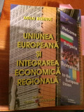 M. BERINDE - UNIUNEA EUROPEANA SI INTEGRAREA ECONOMICA REGIONALA - 2009, 337 p.