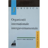 ORGANIZATII INTERNATIONALE INTERGUVERNAMENTALE-RALUCA MIGA-BESTELIU-223387