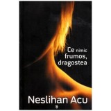 Neslihan Acu - Ce nimic frumos, dragostea - 112442