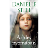 Ashley nyom&aacute;ban - Danielle Steel