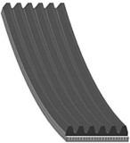 Febi Bilstein Curea transmisie cu caneluri