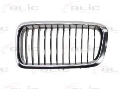 Grila radiator BMW Seria 7 (E38) (1994 - 2001) BLIC 6502-07-0075995P foto