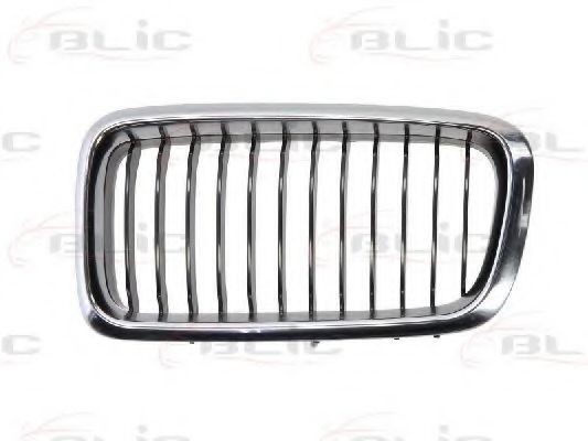 Grila radiator BMW Seria 7 (E38) (1994 - 2001) BLIC 6502-07-0075995P