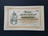 Actie / actiune 1905 Sentinela / Banca / institut de credit / titlu