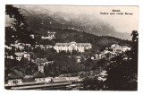 CPIB 21584 - CARTE POSTALA - SINAIA. VEDERE SPRE MUNTII BUCEGI, RPR, Circulata, Fotografie