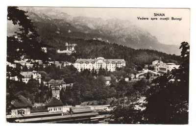 CPIB 21584 - CARTE POSTALA - SINAIA. VEDERE SPRE MUNTII BUCEGI, RPR foto