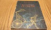 BAIATUL CU RISCA - Alecu Popovici - LUCACI ETHEL BAIES (ilustratii) - Editura Tineretului, 1962, 64 p.; coperta originala, Alta editura