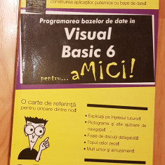 Programarea bazelor de date in Visual Basic 6 pentru amici! De Richard Mansfield