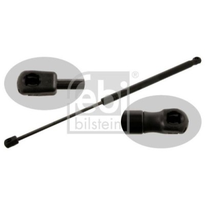 Febi Bilstein Amortizor capota foto