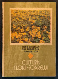 Cereale CULTURA FLORII-SOARELUI 201pag Ceres 1989 Hera Cristian Floarea Soarelui