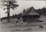 HST P2/57 Poza cabana pe munte Rom&acirc;nia comunistă
