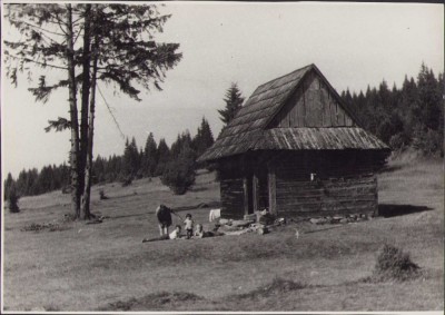 HST P2/57 Poza cabana pe munte Rom&amp;acirc;nia comunistă foto