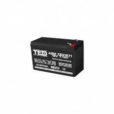 Acumulator AGM VRLA 12V 7,1A dimensiuni 151mm x 65mm x h 95mm F2 TED Battery Expert Holland TED003225 (5)