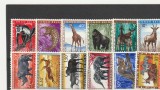 Fauna Africana Congo Belgian.