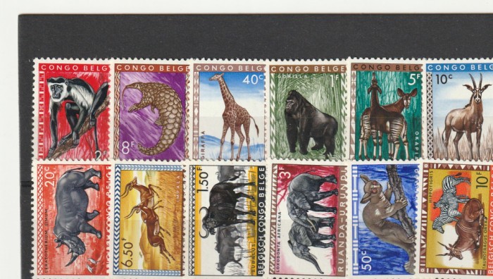 Fauna Africana Congo Belgian.