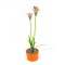 Floare colorata solara led - 8 x 8 x 32 cm - 10 LED-uri alb cald - rosu