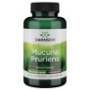 Mucuna Pruriens Extras Standardizat 350 miligrame 200 capsule Swanson, Swanson Health Products