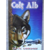 COLT ALB-JACK LONDON-98746