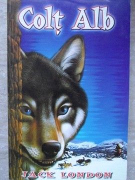 COLT ALB-JACK LONDON-98746 foto