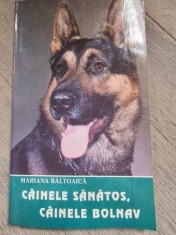 Cainele sanatos, cainele bolnav - Mariana Baltoaica