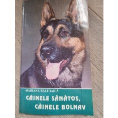 Cainele sanatos, cainele bolnav - Mariana Baltoaica