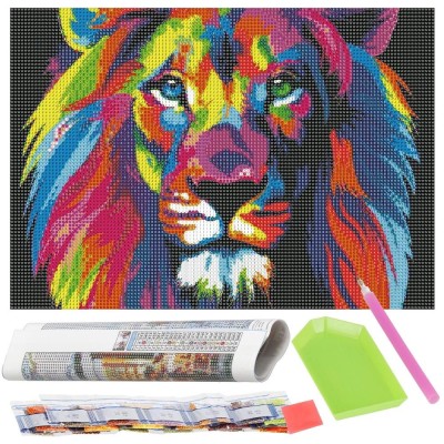 Set de broderie cu diamante 5D, 30x40cm, model Leu Household NewTrend foto